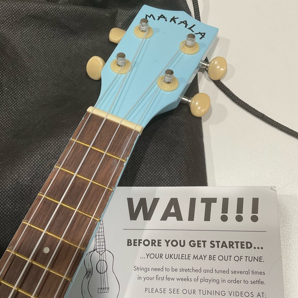 🪴NWT KALA Light Blue Burst Soprano Ukulele - Picture 2 of 8
